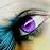 :iconseraphim133: