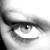 :iconseraphina-hieronymi: