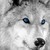 SeraphinaSilverfang :iconseraphinasilverfang: