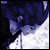 :iconseraphnight: