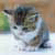 :iconserary: