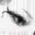 :iconseravane: