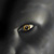 :iconSerDespair: