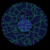 :iconseregantslinky: