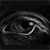 :iconseren-photographic:
