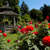 :iconserendipity11: