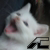 :iconserene13-27: