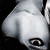 :iconSereneLittleBunny: