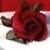 :iconserenity-999: