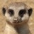 :iconserenity-wanderer: