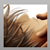 :iconserenity-water: