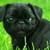 :iconserenitymysis: