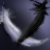 :iconserenitysorrowwings: