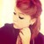 :iconseringelin:
