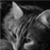 :iconserp86: