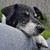 :iconserpens20: