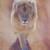 :iconserpent-moon: