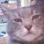 :iconserpentareius: