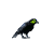 :iconserpentsplice: