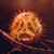 :iconservaneks: