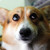 :iconserwilat: