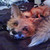 :iconseryddol: