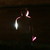 :iconserzh62: