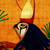 :iconseshiruseth: