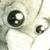 :iconsessana: