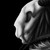 :iconsesshota: