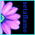 :iconsetaflame: