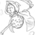 :iconsetcha: