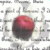 :iconseth5843: