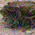 :iconsetht: