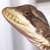 :iconsetmymeowfree: