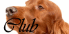 :iconsetters-club: