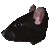 :iconsettican:
