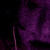 :iconsettzer: