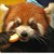 :iconsetufa: