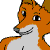 :iconSetup56: