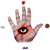 :iconsev07: