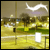 :iconseven-zero: