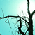 :iconsevenn09: