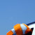 :iconsevenplaces: