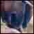 :iconsevenspades: