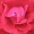 :iconsevenup216: