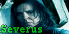 :iconseverussnapefanclub: