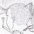 :iconsexual-greed: