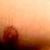 :iconsexy-jacob-black: