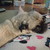 :iconsexydesuteacup:
